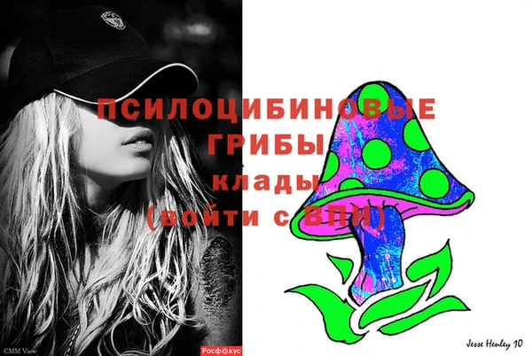 дмт Аркадак